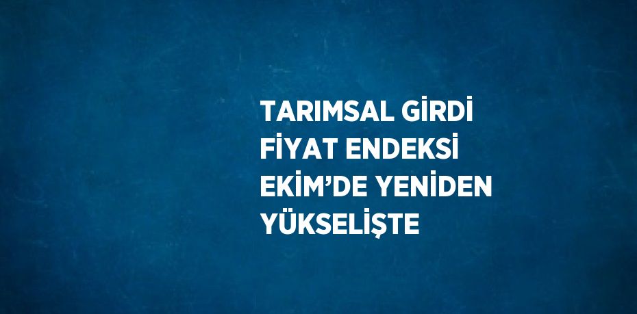 TARIMSAL GİRDİ FİYAT ENDEKSİ EKİM’DE YENİDEN YÜKSELİŞTE