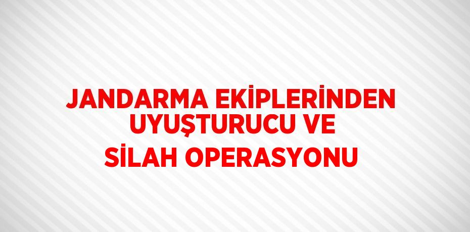 JANDARMA EKİPLERİNDEN UYUŞTURUCU VE SİLAH OPERASYONU