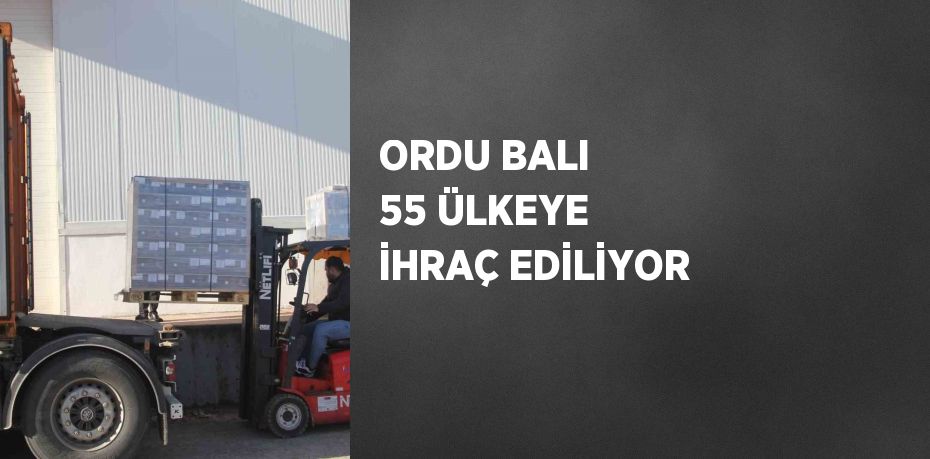 ORDU BALI 55 ÜLKEYE İHRAÇ EDİLİYOR