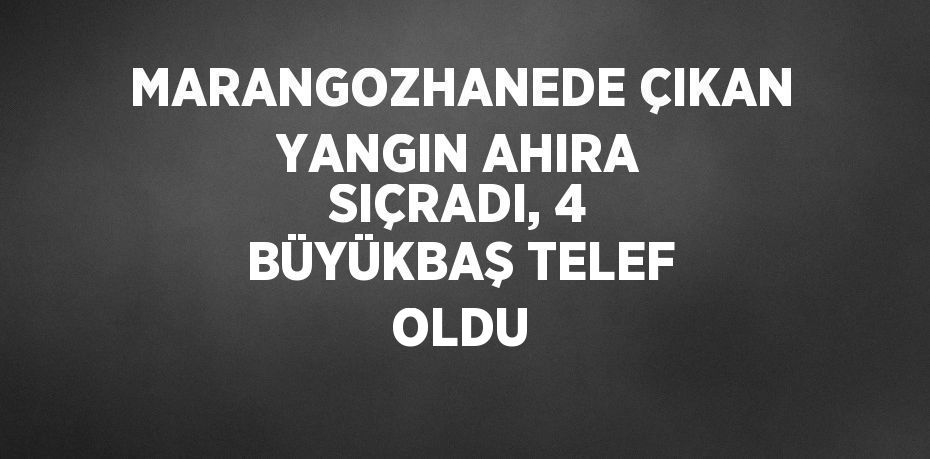 MARANGOZHANEDE ÇIKAN YANGIN AHIRA SIÇRADI, 4 BÜYÜKBAŞ TELEF OLDU