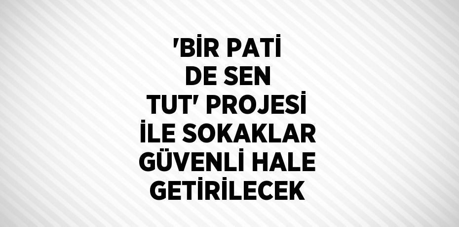 'BİR PATİ DE SEN TUT' PROJESİ İLE SOKAKLAR GÜVENLİ HALE GETİRİLECEK