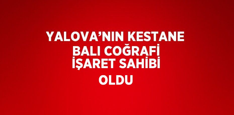 YALOVA’NIN KESTANE BALI COĞRAFİ İŞARET SAHİBİ OLDU