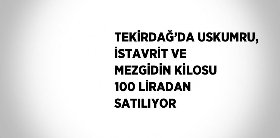 TEKİRDAĞ’DA USKUMRU, İSTAVRİT VE MEZGİDİN KİLOSU 100 LİRADAN SATILIYOR