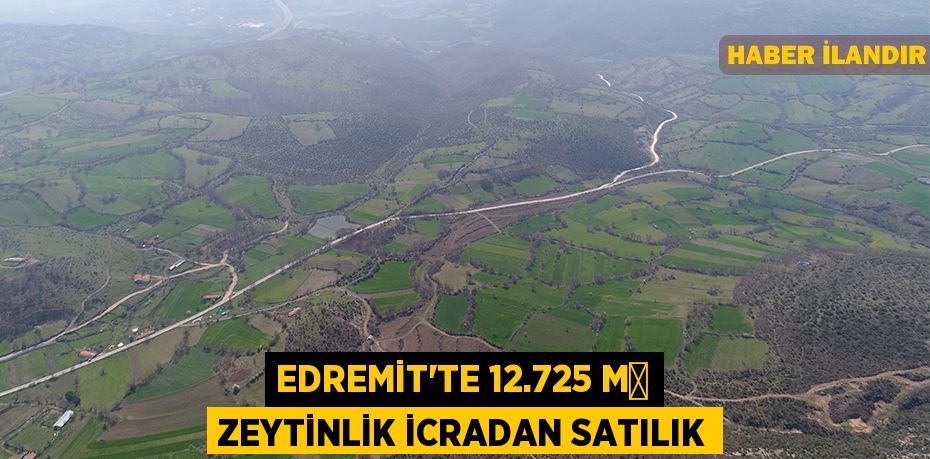 Edremit'te 12.725 m² zeytinlik icradan satılık