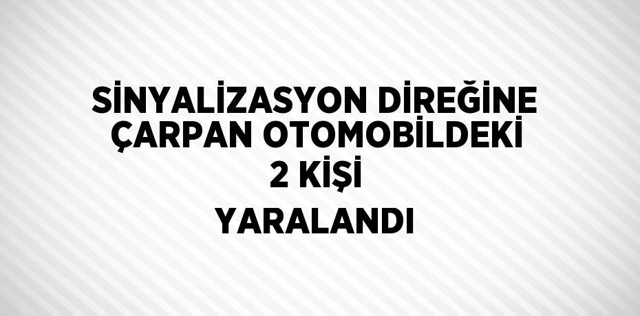 SİNYALİZASYON DİREĞİNE ÇARPAN OTOMOBİLDEKİ 2 KİŞİ YARALANDI