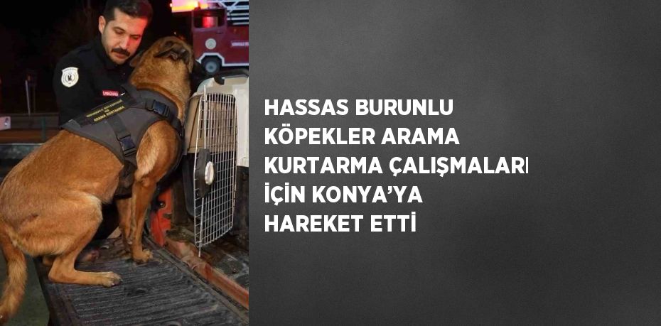 HASSAS BURUNLU KÖPEKLER ARAMA KURTARMA ÇALIŞMALARI İÇİN KONYA’YA HAREKET ETTİ