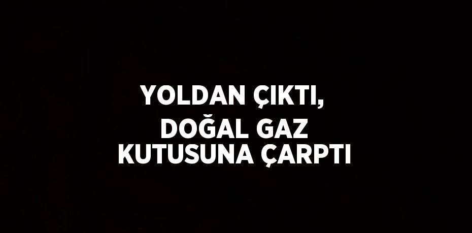 YOLDAN ÇIKTI, DOĞAL GAZ KUTUSUNA ÇARPTI