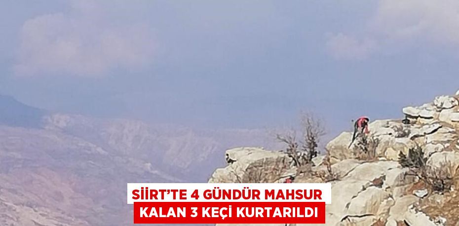 SİİRT’TE 4 GÜNDÜR MAHSUR KALAN 3 KEÇİ KURTARILDI