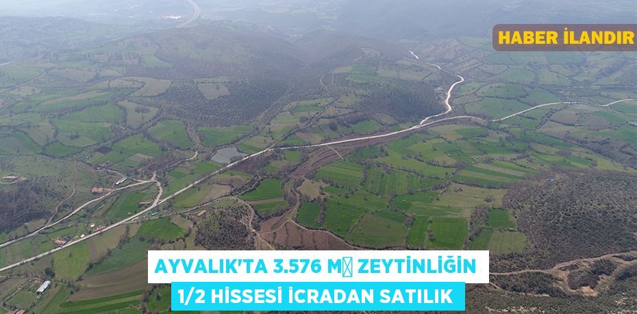 Ayvalık'ta 3.576 m² Zeytinliğin 1/2 hissesi icradan satılık