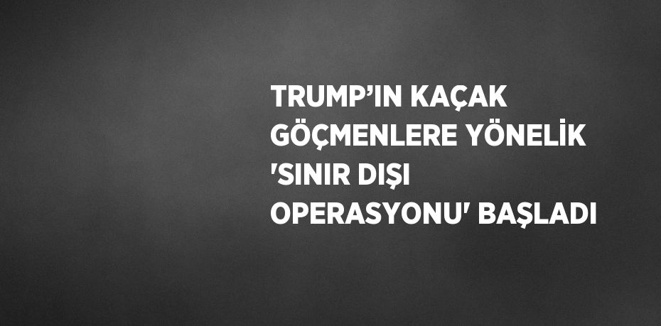TRUMP’IN KAÇAK GÖÇMENLERE YÖNELİK 'SINIR DIŞI OPERASYONU' BAŞLADI