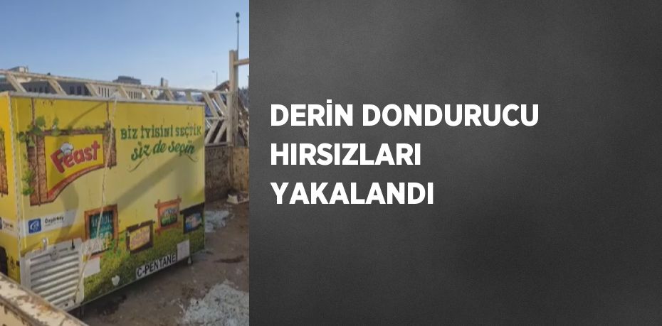 DERİN DONDURUCU HIRSIZLARI YAKALANDI