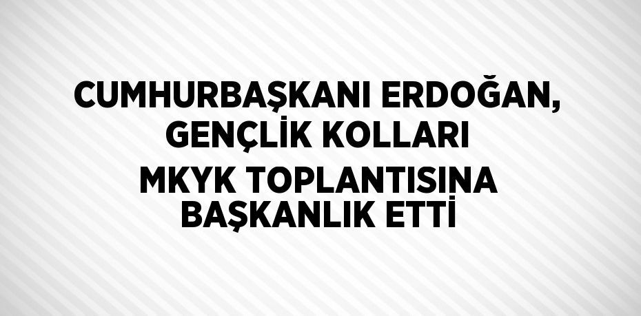 CUMHURBAŞKANI ERDOĞAN, GENÇLİK KOLLARI MKYK TOPLANTISINA BAŞKANLIK ETTİ