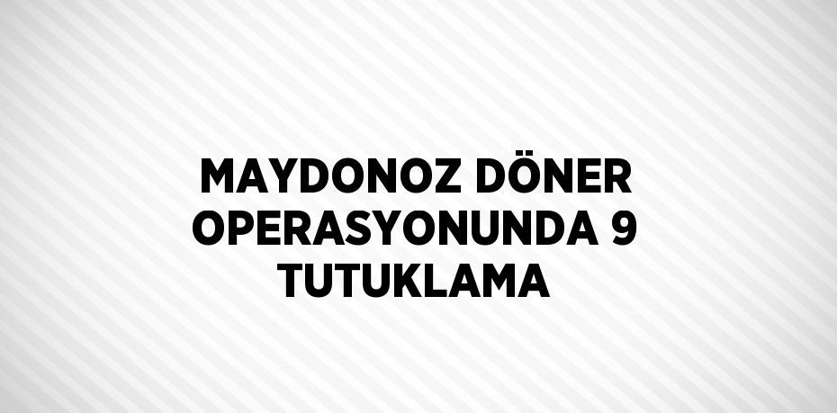 MAYDONOZ DÖNER OPERASYONUNDA 9 TUTUKLAMA