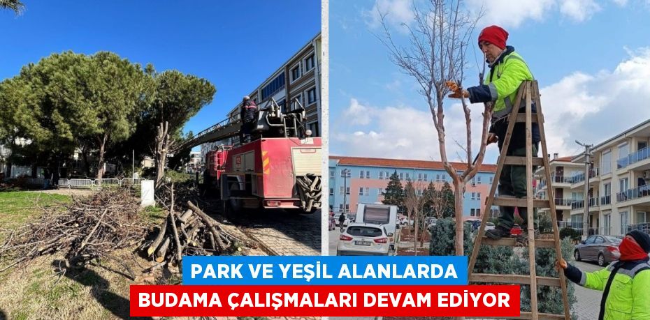 PARK VE YEŞİL ALANLARDA BUDAMA ÇALIŞMALARI DEVAM EDİYOR