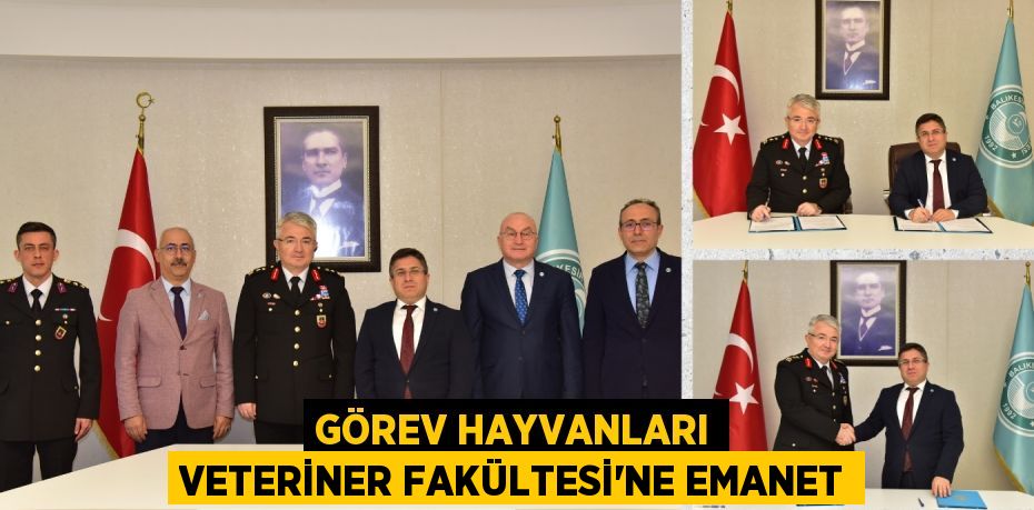 GÖREV HAYVANLARI VETERİNER FAKÜLTESİ’NE EMANET