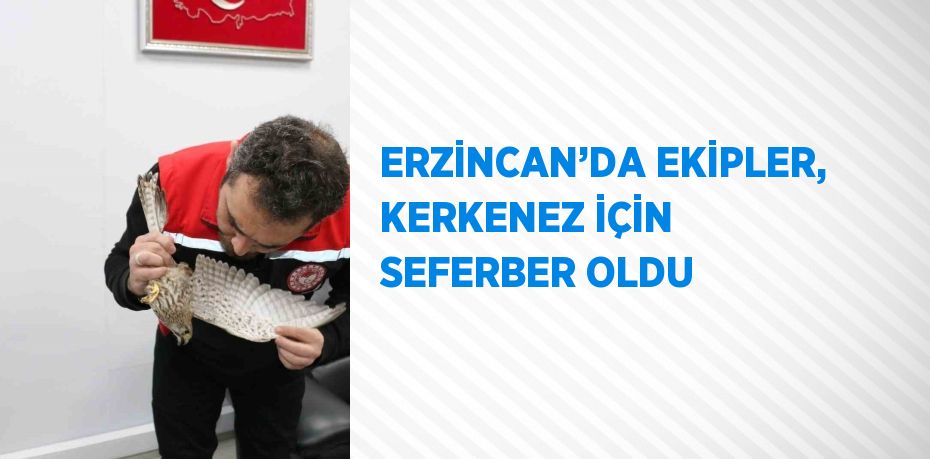 ERZİNCAN’DA EKİPLER, KERKENEZ İÇİN SEFERBER OLDU