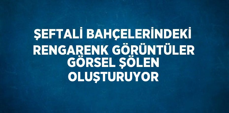 ŞEFTALİ BAHÇELERİNDEKİ RENGARENK GÖRÜNTÜLER GÖRSEL ŞÖLEN OLUŞTURUYOR