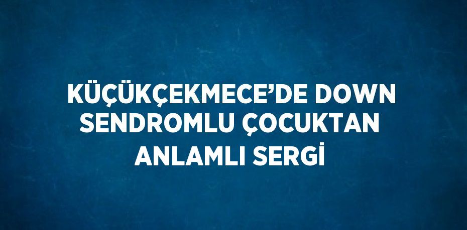 KÜÇÜKÇEKMECE’DE DOWN SENDROMLU ÇOCUKTAN ANLAMLI SERGİ