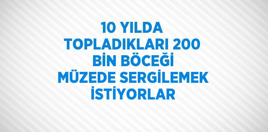 10 YILDA TOPLADIKLARI 200 BİN BÖCEĞİ MÜZEDE SERGİLEMEK İSTİYORLAR