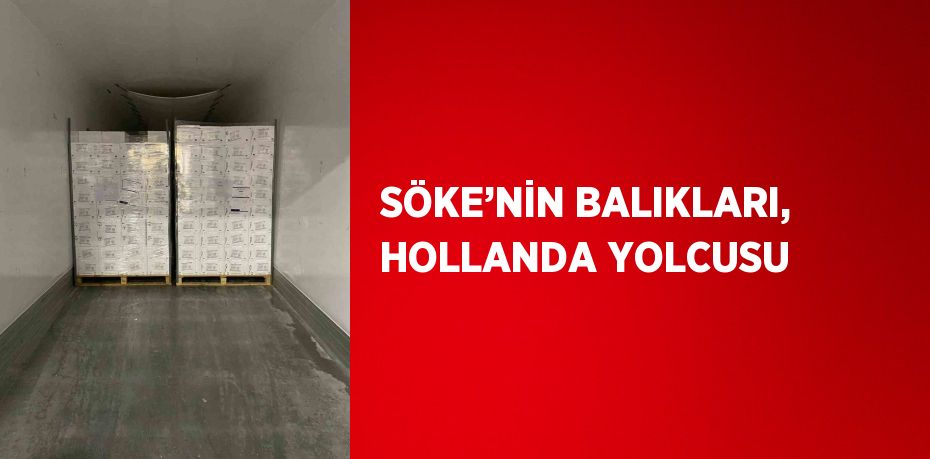 SÖKE’NİN BALIKLARI, HOLLANDA YOLCUSU