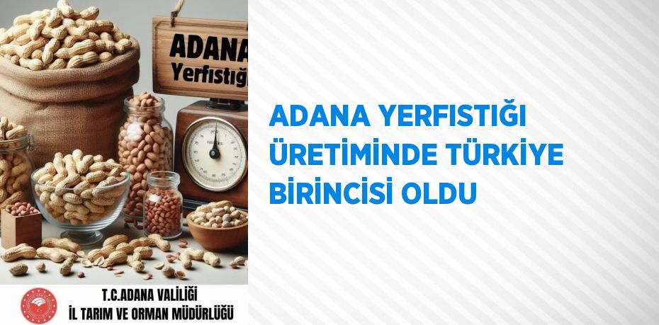 ADANA YERFISTIĞI ÜRETİMİNDE TÜRKİYE BİRİNCİSİ OLDU