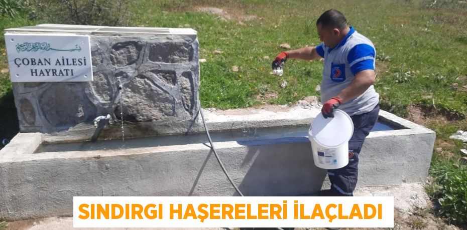 SINDIRGI HAŞERELERİ İLAÇLADI