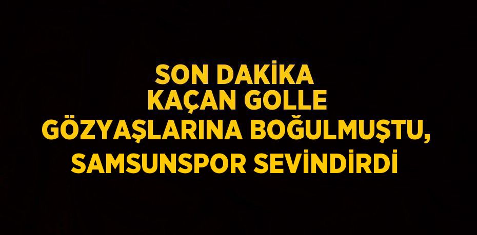 SON DAKİKA KAÇAN GOLLE GÖZYAŞLARINA BOĞULMUŞTU, SAMSUNSPOR SEVİNDİRDİ