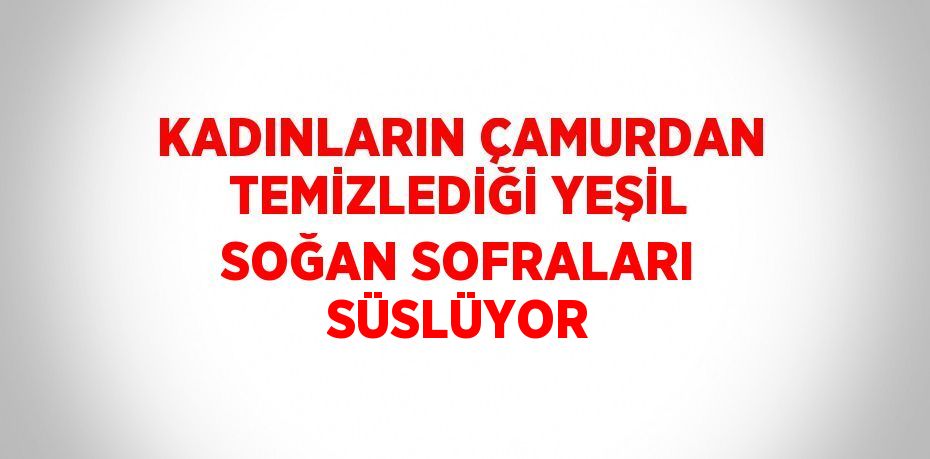 KADINLARIN ÇAMURDAN TEMİZLEDİĞİ YEŞİL SOĞAN SOFRALARI SÜSLÜYOR