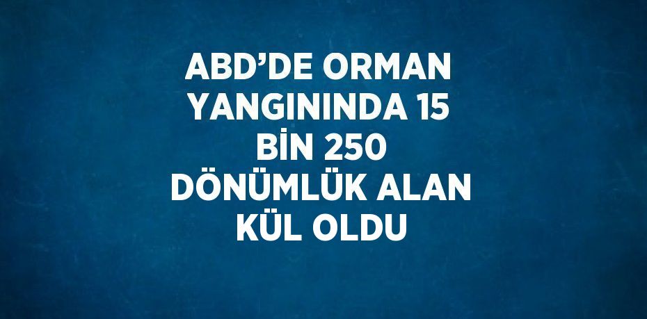 ABD’DE ORMAN YANGININDA 15 BİN 250 DÖNÜMLÜK ALAN KÜL OLDU