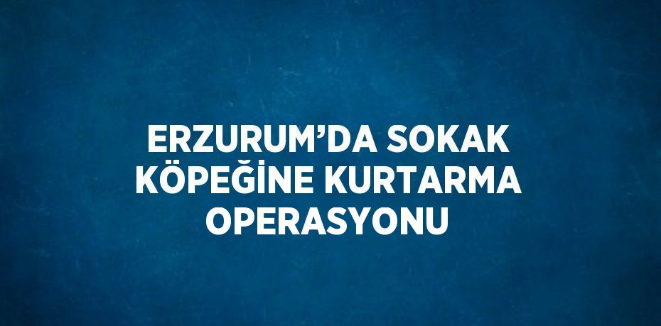 ERZURUM’DA SOKAK KÖPEĞİNE KURTARMA OPERASYONU