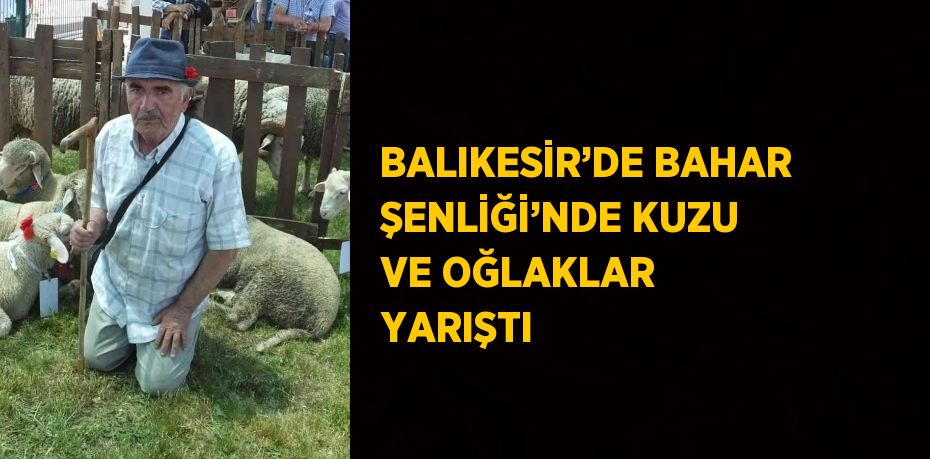 BALIKESİR’DE BAHAR ŞENLİĞİ’NDE KUZU VE OĞLAKLAR YARIŞTI
