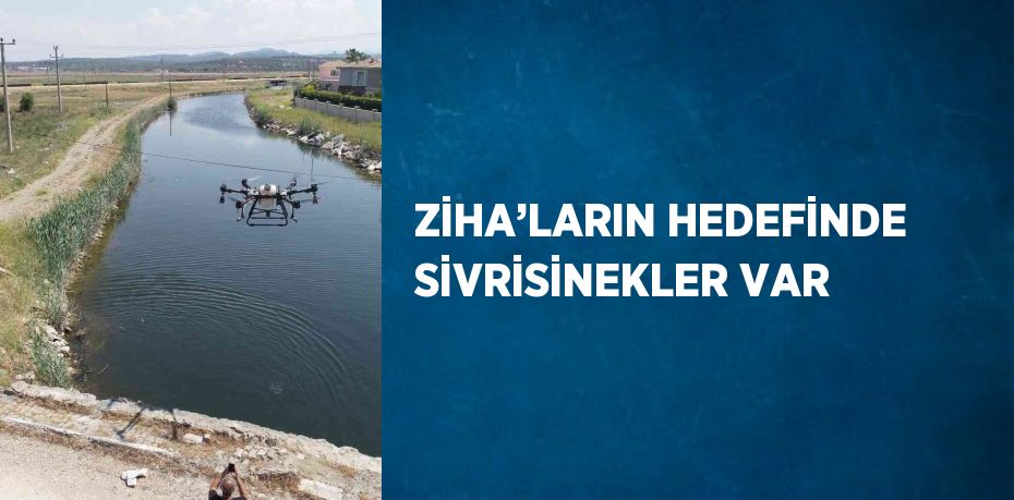 ZİHA’LARIN HEDEFİNDE SİVRİSİNEKLER VAR