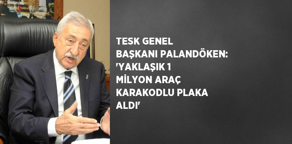 TESK GENEL BAŞKANI PALANDÖKEN: 'YAKLAŞIK 1 MİLYON ARAÇ KARAKODLU PLAKA ALDI'