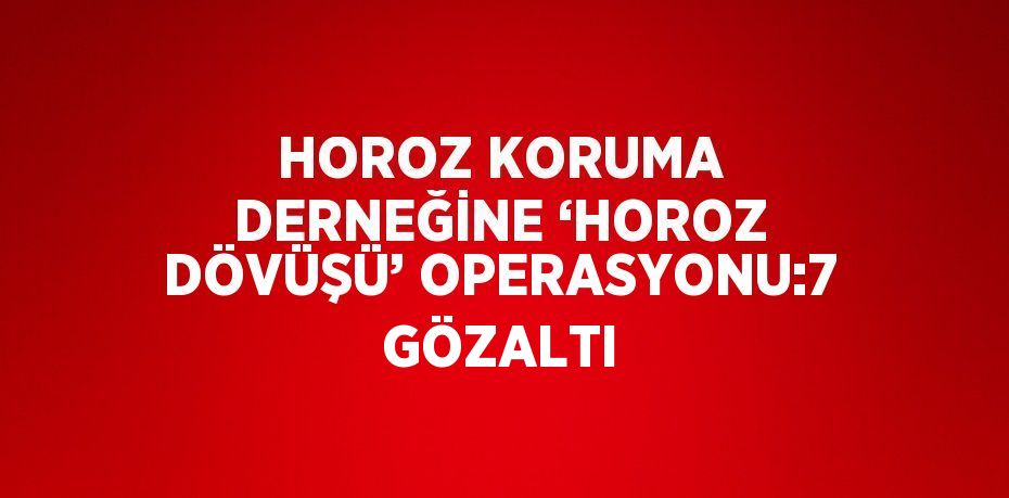 HOROZ KORUMA DERNEĞİNE ‘HOROZ DÖVÜŞÜ’ OPERASYONU:7 GÖZALTI