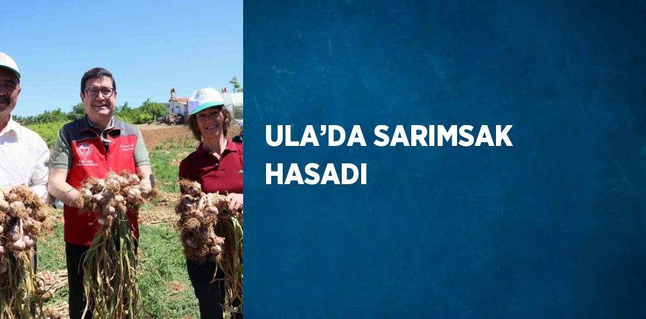 ULA’DA SARIMSAK HASADI