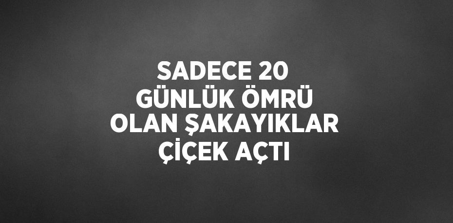 SADECE 20 GÜNLÜK ÖMRÜ OLAN ŞAKAYIKLAR ÇİÇEK AÇTI