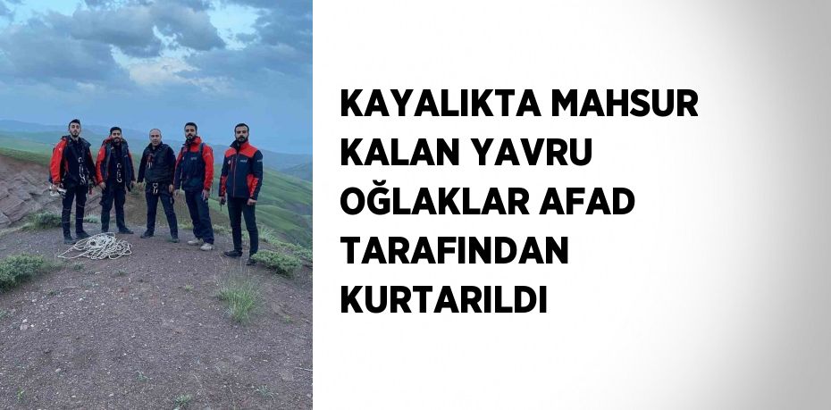 KAYALIKTA MAHSUR KALAN YAVRU OĞLAKLAR AFAD TARAFINDAN KURTARILDI