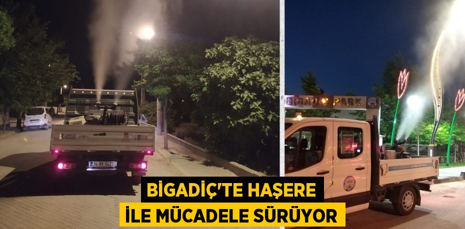 BİGADİÇ’TE HAŞERE İLE MÜCADELE SÜRÜYOR