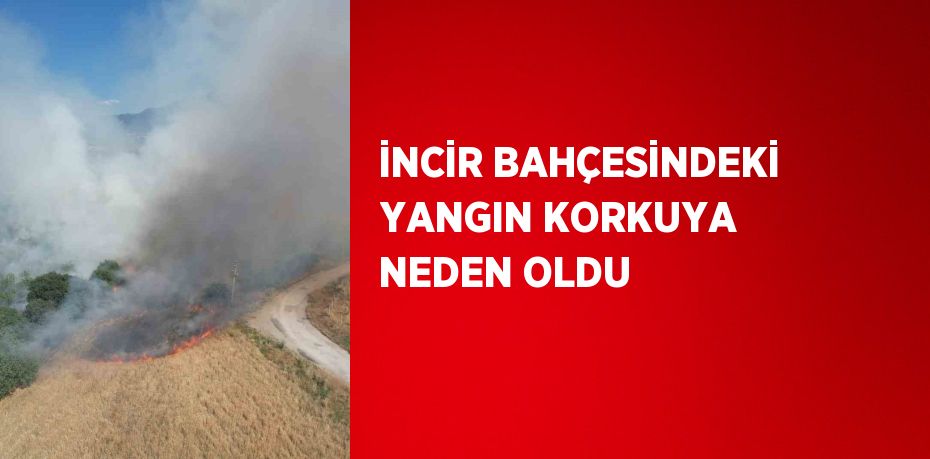 İNCİR BAHÇESİNDEKİ YANGIN KORKUYA NEDEN OLDU