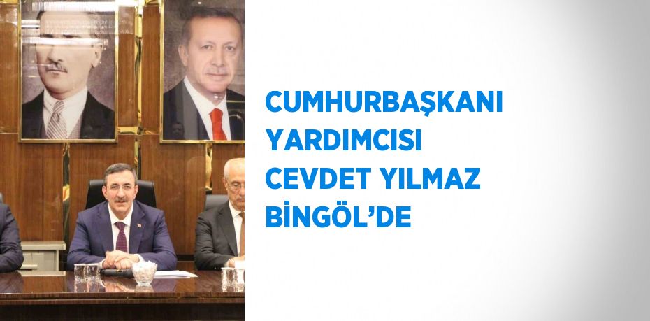 CUMHURBAŞKANI YARDIMCISI CEVDET YILMAZ BİNGÖL’DE