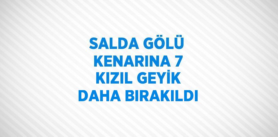 SALDA GÖLÜ KENARINA 7 KIZIL GEYİK DAHA BIRAKILDI