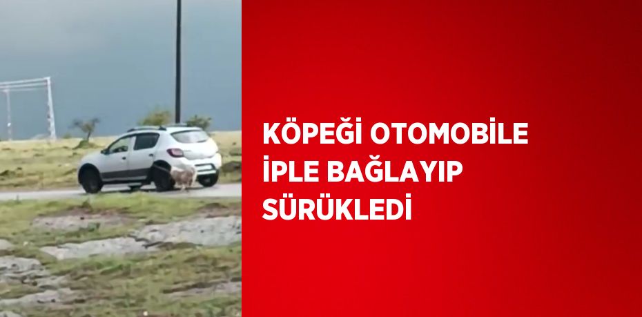 KÖPEĞİ OTOMOBİLE İPLE BAĞLAYIP SÜRÜKLEDİ
