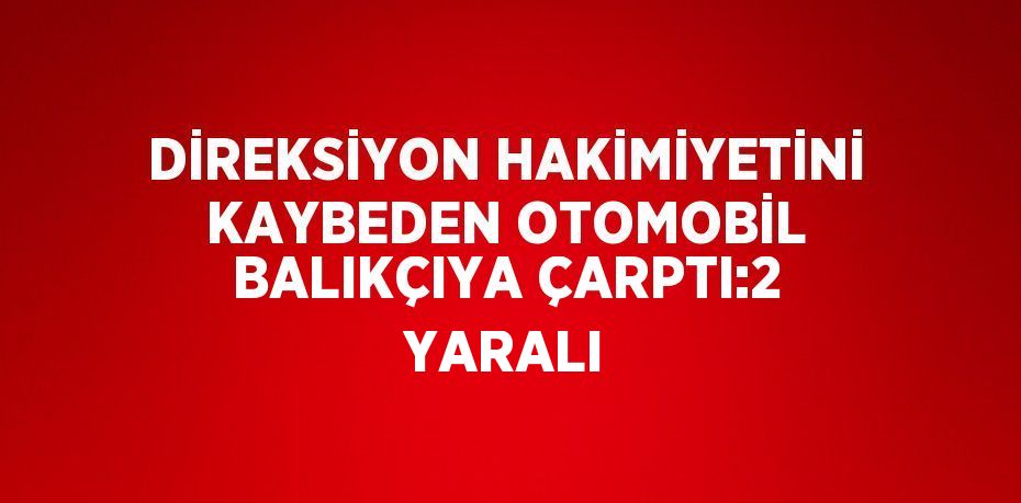 DİREKSİYON HAKİMİYETİNİ KAYBEDEN OTOMOBİL BALIKÇIYA ÇARPTI:2 YARALI