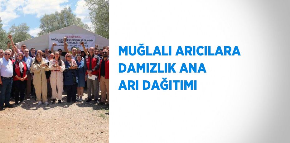 MUĞLALI ARICILARA DAMIZLIK ANA ARI DAĞITIMI