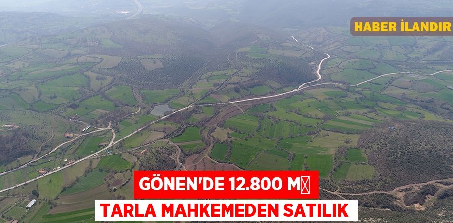 Gönen'de 12.800 m² tarla mahkemeden satılık