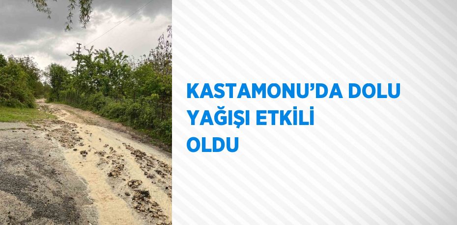 KASTAMONU’DA DOLU YAĞIŞI ETKİLİ OLDU