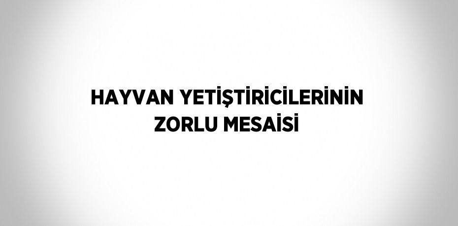 HAYVAN YETİŞTİRİCİLERİNİN ZORLU MESAİSİ