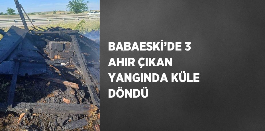 BABAESKİ’DE 3 AHIR ÇIKAN YANGINDA KÜLE DÖNDÜ