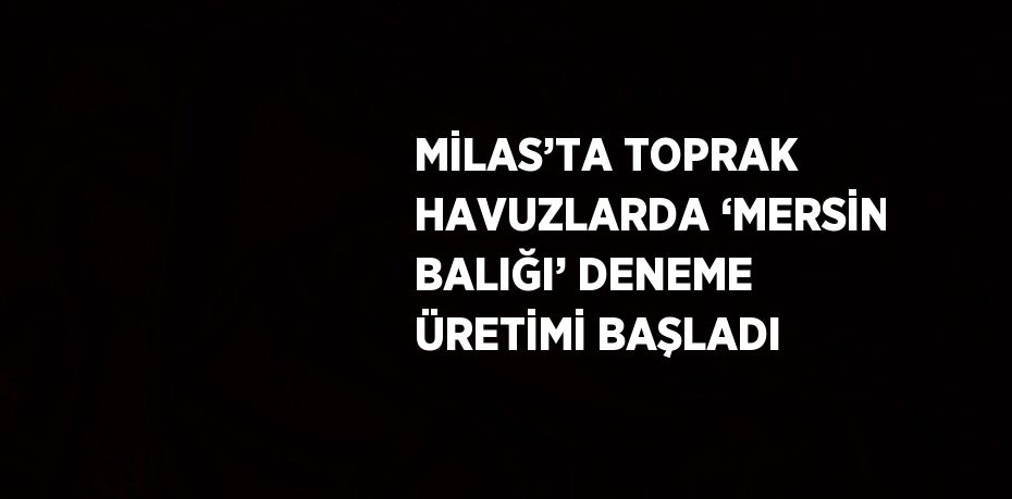 MİLAS’TA TOPRAK HAVUZLARDA ‘MERSİN BALIĞI’ DENEME ÜRETİMİ BAŞLADI