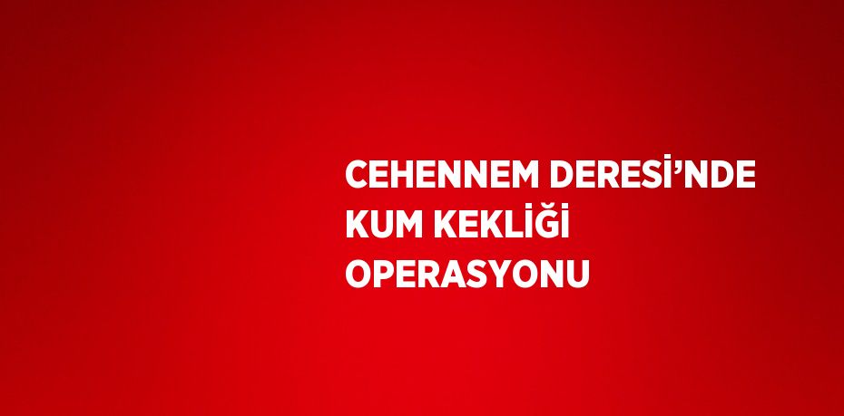 CEHENNEM DERESİ’NDE KUM KEKLİĞİ OPERASYONU